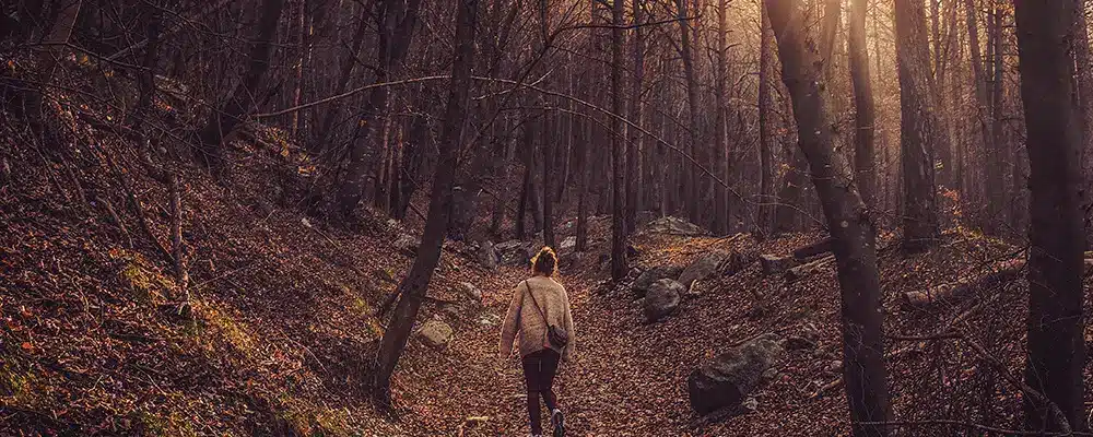 hiking-trail